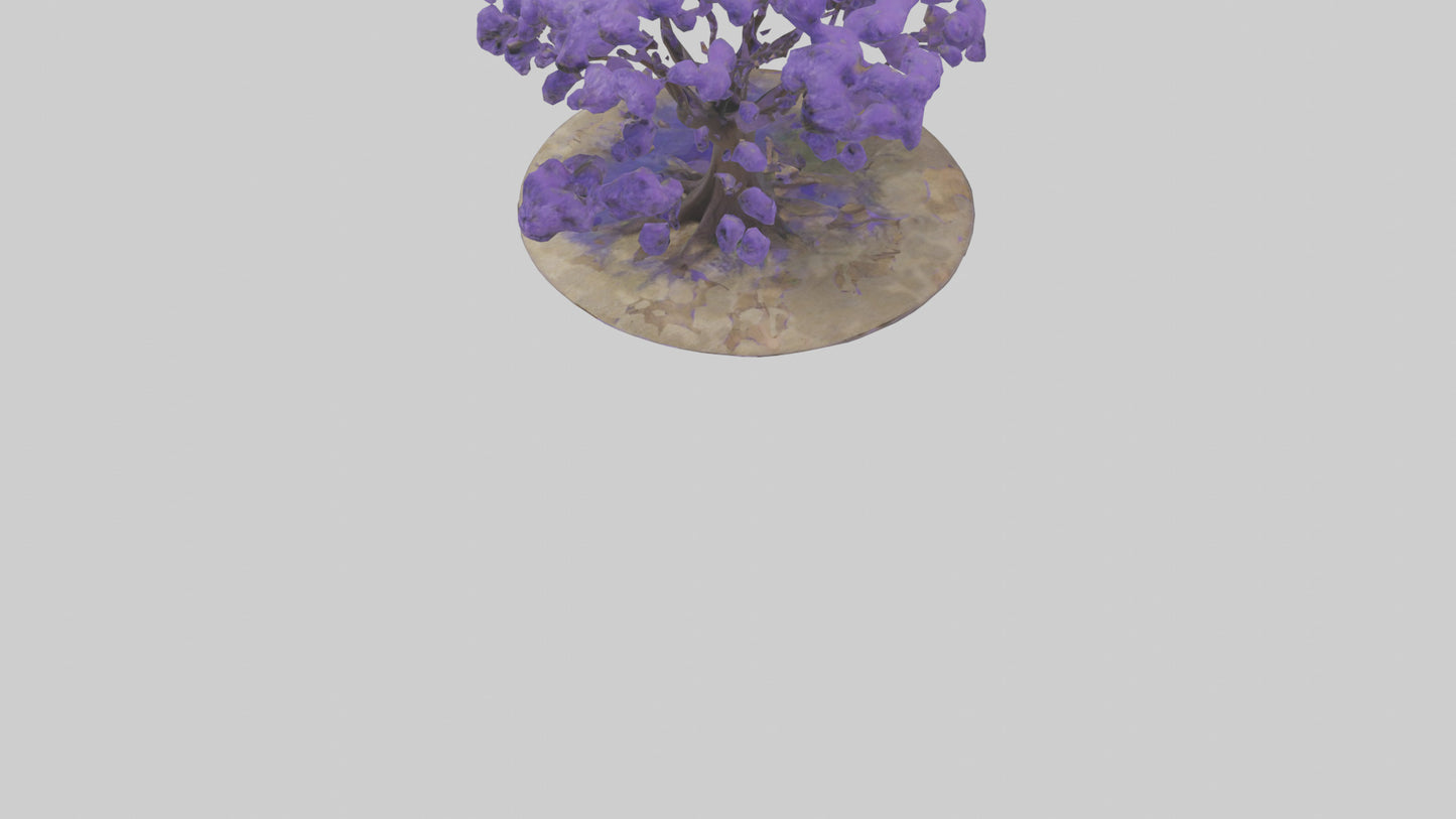 3D model Jacaranda tree model VR / AR / low-poly