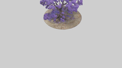 3D model Jacaranda tree model VR / AR / low-poly