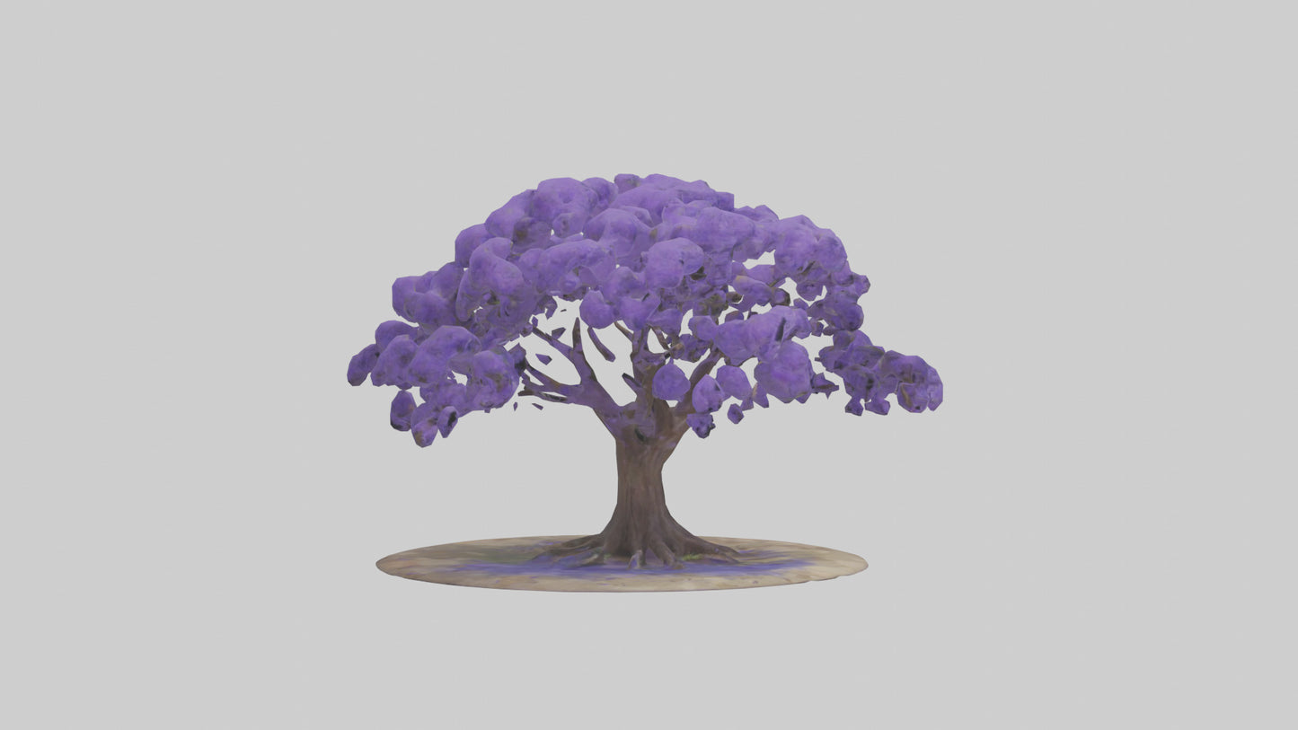 3D model Jacaranda tree model VR / AR / low-poly