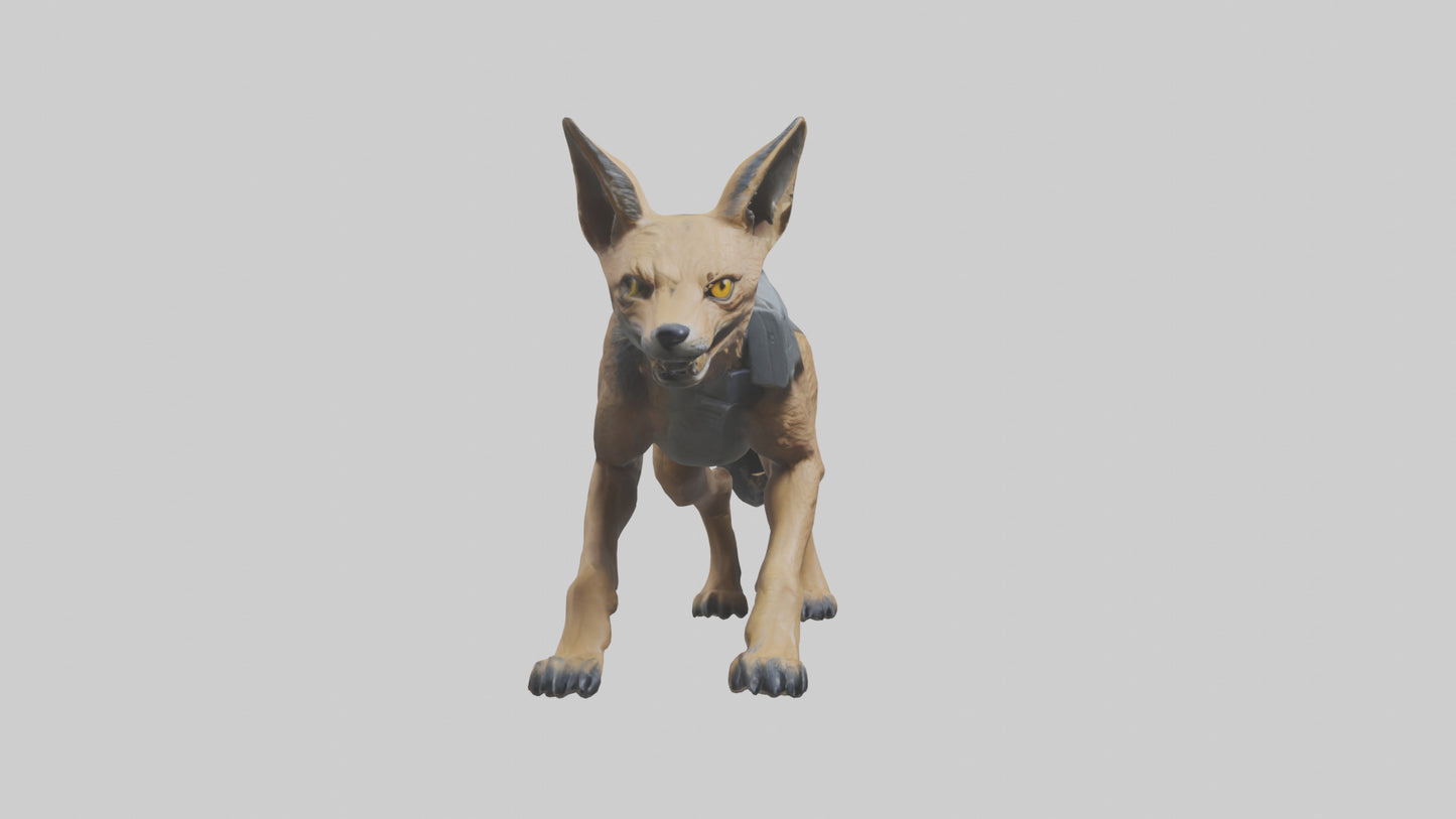3D model Jackal prowling model VR / AR / low-poly