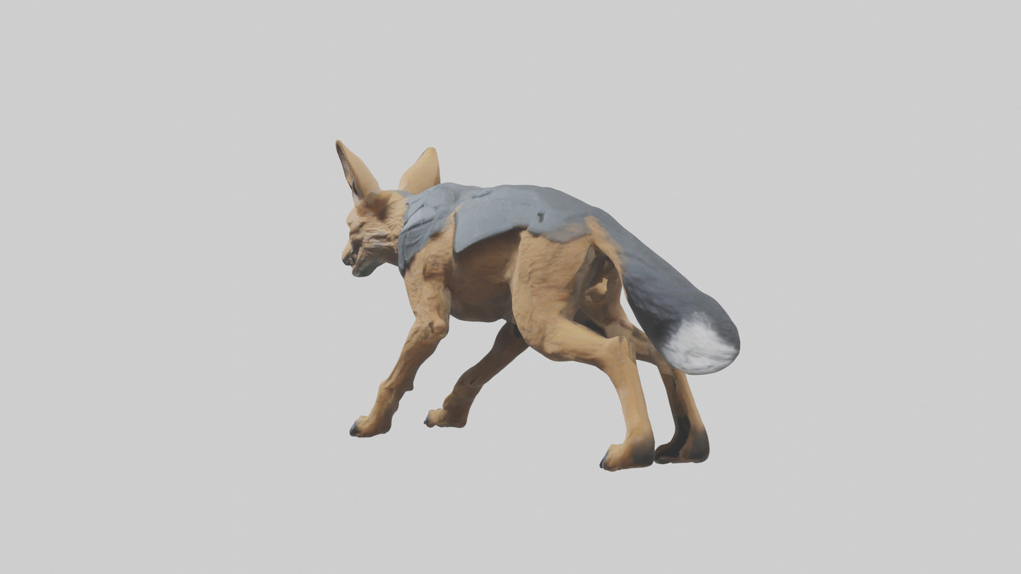 3D model Jackal prowling model VR / AR / low-poly