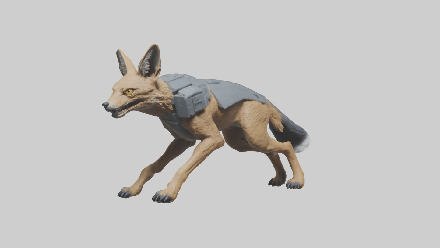3D model Jackal prowling model VR / AR / low-poly