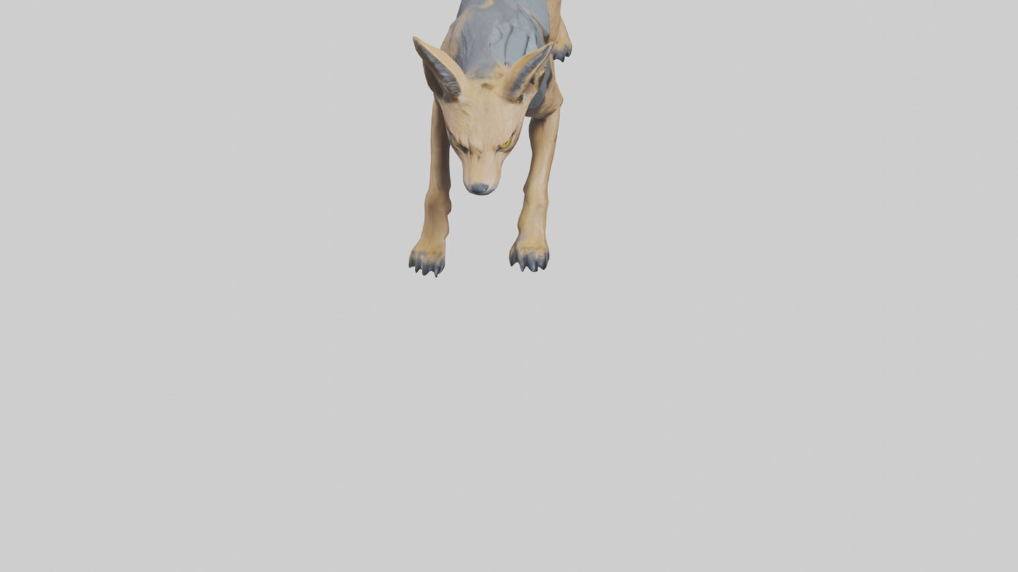 3D model Jackal prowling model VR / AR / low-poly