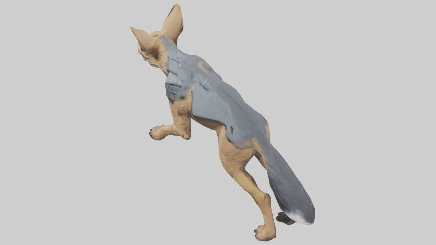 3D model Jackal prowling model VR / AR / low-poly