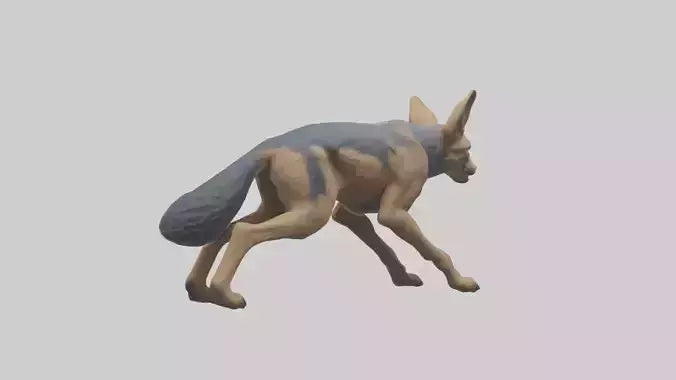 3D model Jackal prowling model VR / AR / low-poly