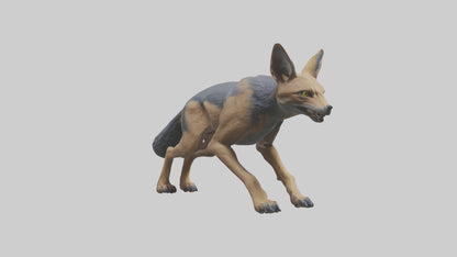 3D model Jackal prowling model VR / AR / low-poly