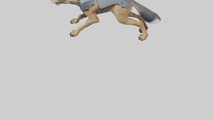 3D model Jackal prowling model VR / AR / low-poly