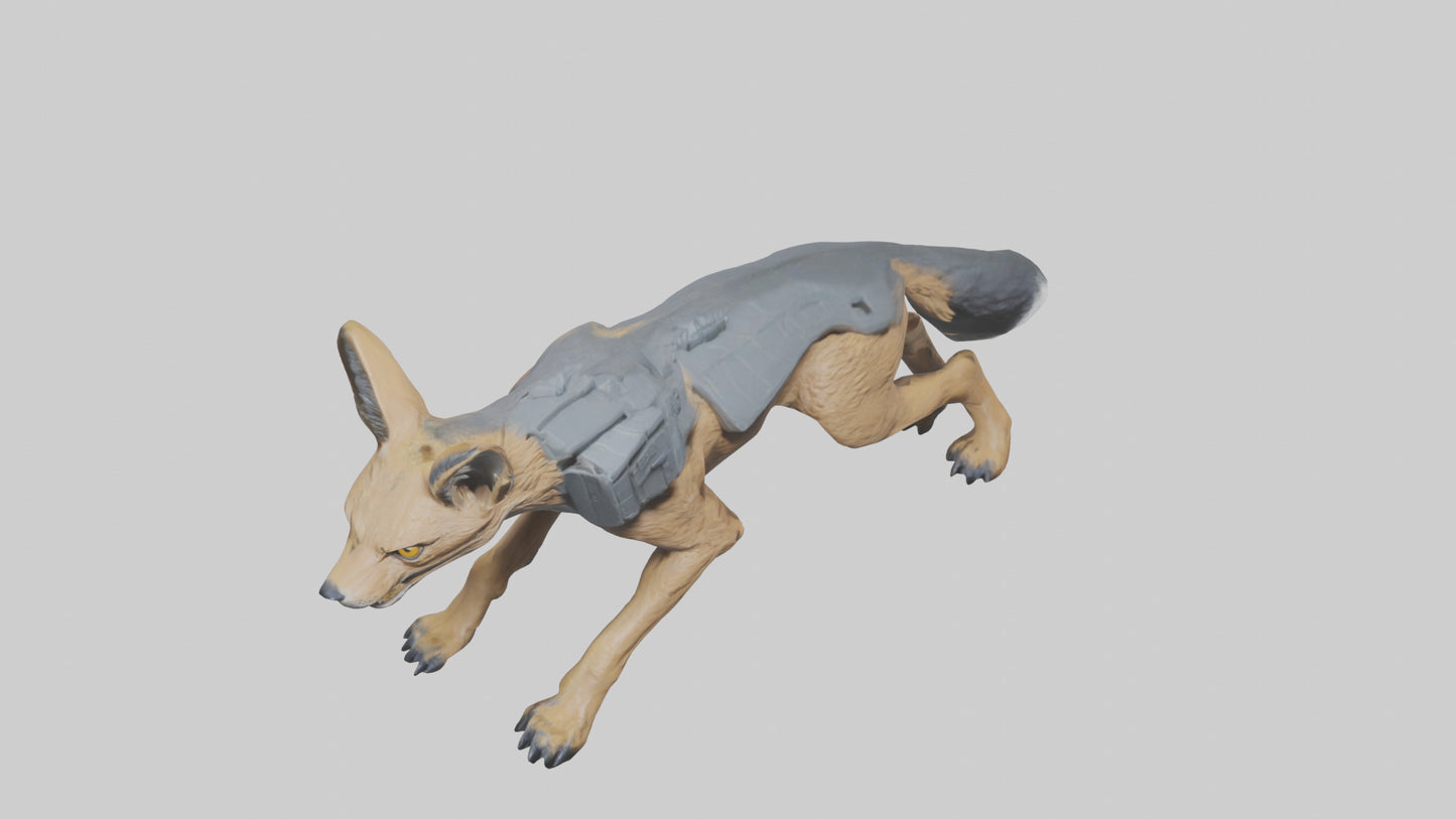 3D model Jackal prowling model VR / AR / low-poly