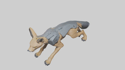 3D model Jackal prowling model VR / AR / low-poly