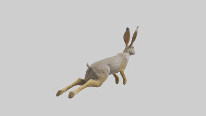 3D model Jackrabbit leaping model VR / AR / low-poly