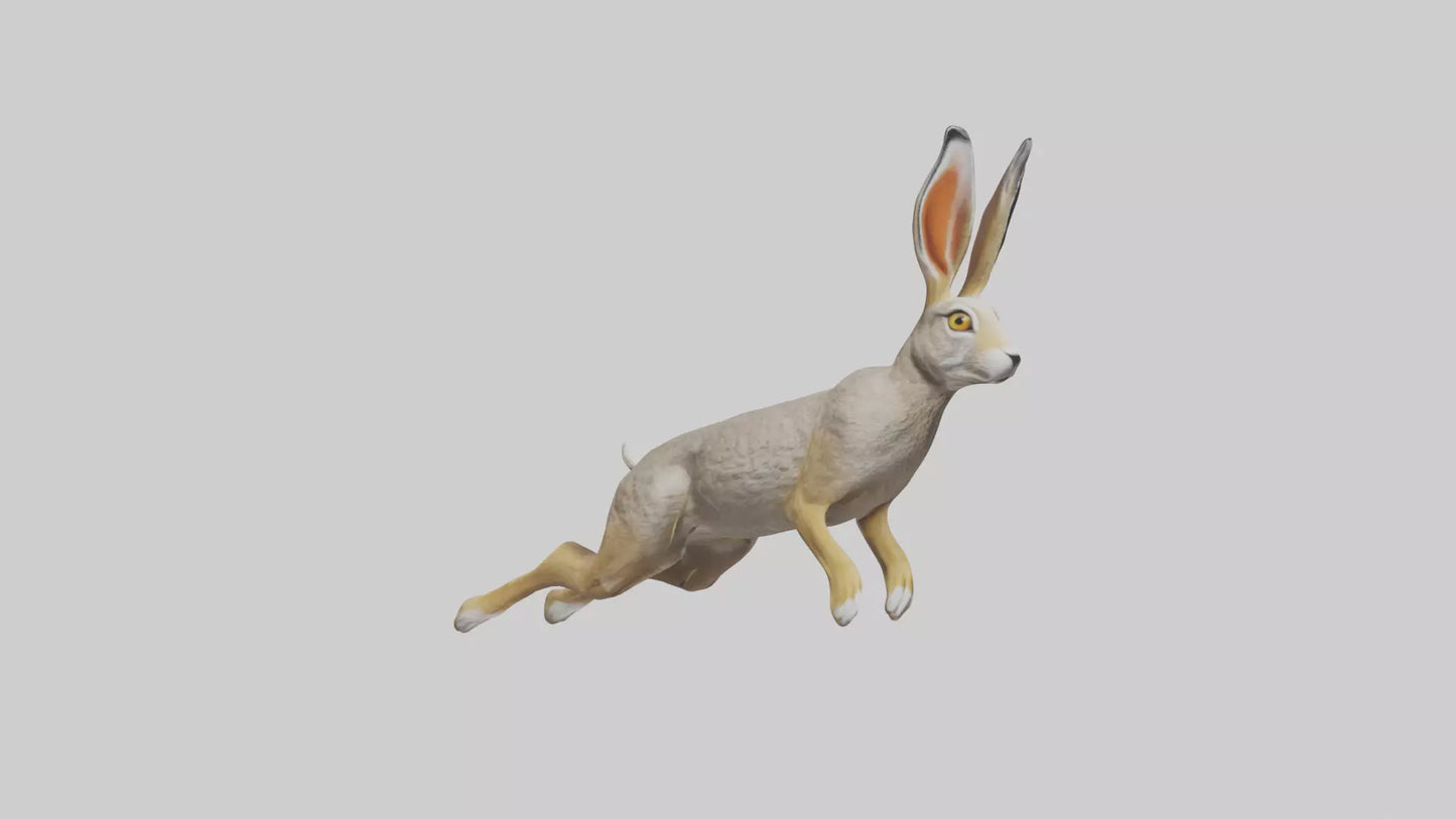 3D model Jackrabbit leaping model VR / AR / low-poly