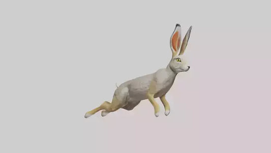 3D model Jackrabbit leaping model VR / AR / low-poly