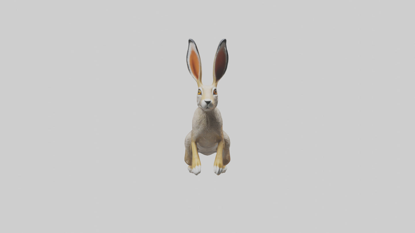 3D model Jackrabbit leaping model VR / AR / low-poly