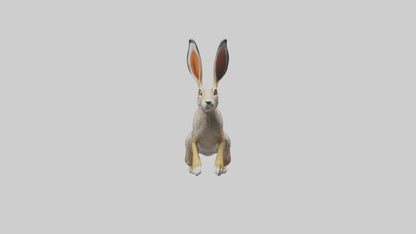 3D model Jackrabbit leaping model VR / AR / low-poly