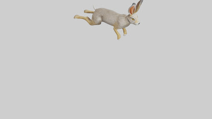 3D model Jackrabbit leaping model VR / AR / low-poly
