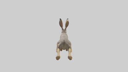 3D model Jackrabbit leaping model VR / AR / low-poly