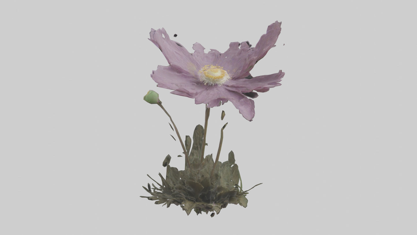 Janus God statue model VR / AR / low-poly