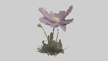 Janus God statue model VR / AR / low-poly