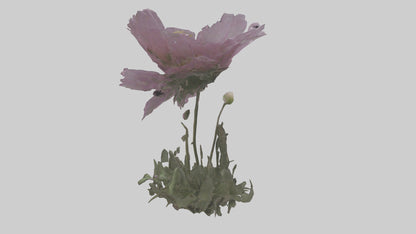 Janus God statue model VR / AR / low-poly