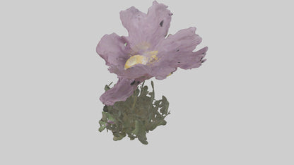 Janus God statue model VR / AR / low-poly