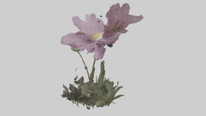 Janus God statue model VR / AR / low-poly