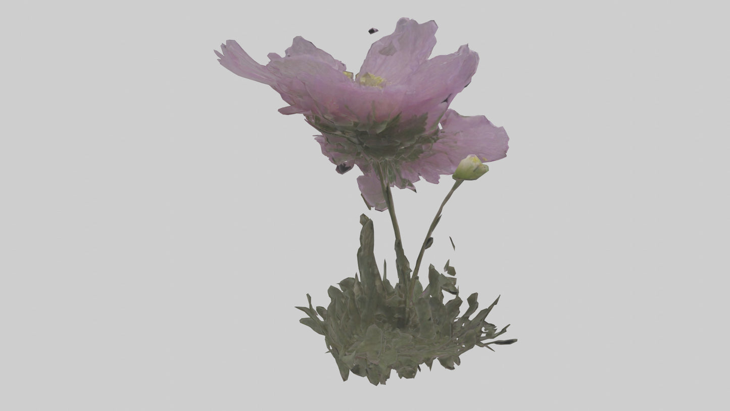 Janus God statue model VR / AR / low-poly