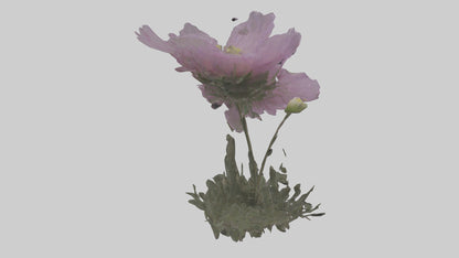 Janus God statue model VR / AR / low-poly