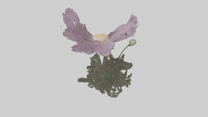 Janus God statue model VR / AR / low-poly