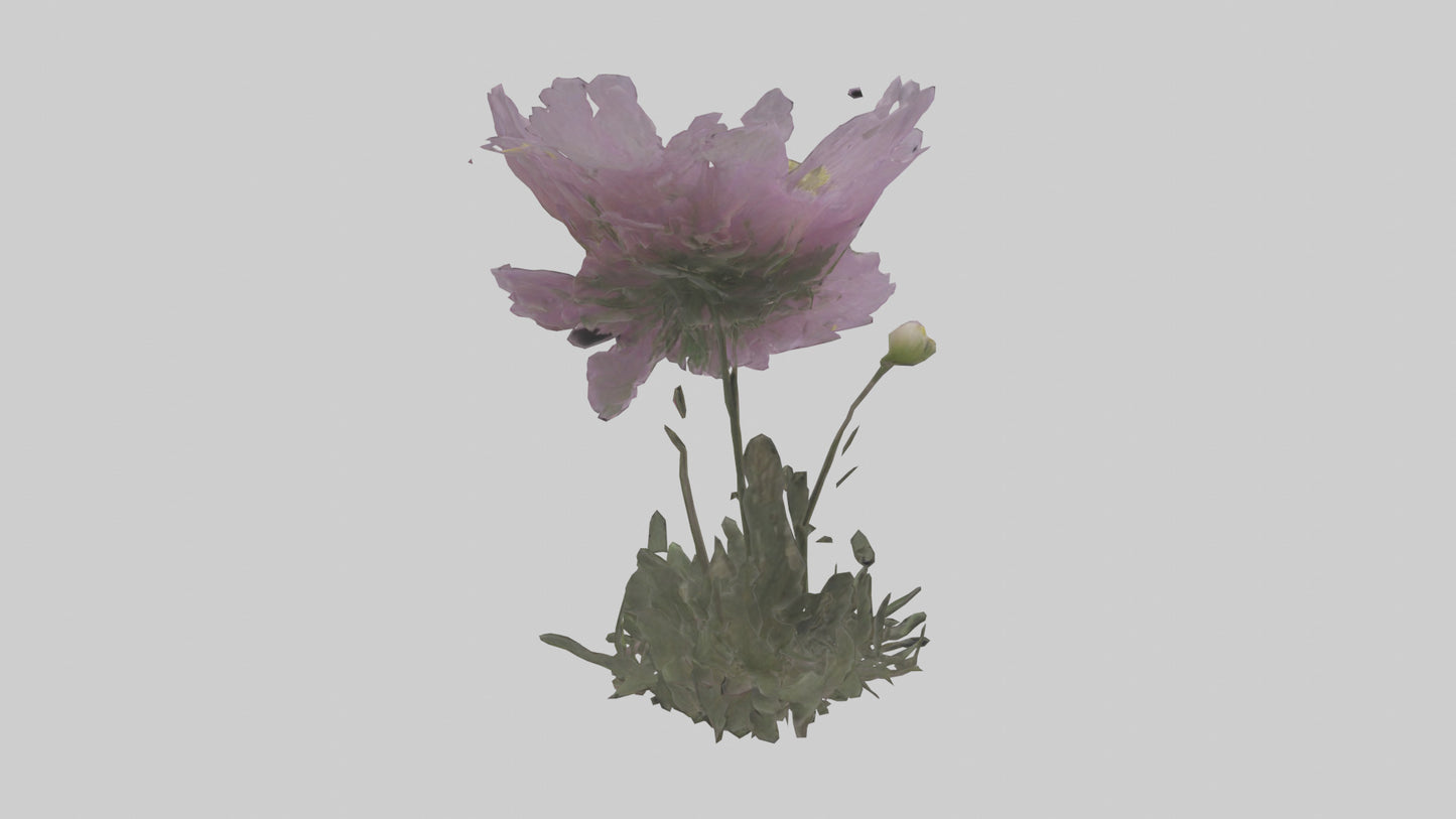 Janus God statue model VR / AR / low-poly