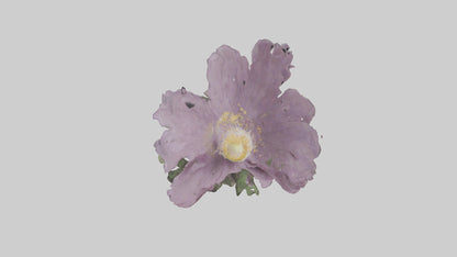 Janus God statue model VR / AR / low-poly