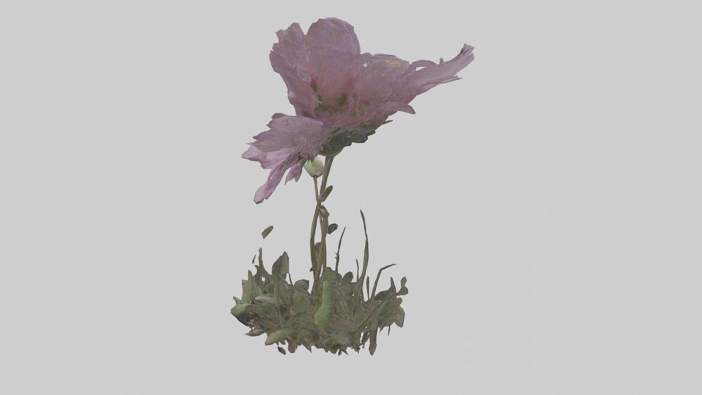 Janus God statue model VR / AR / low-poly