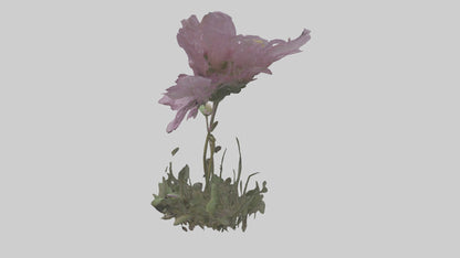 Janus God statue model VR / AR / low-poly