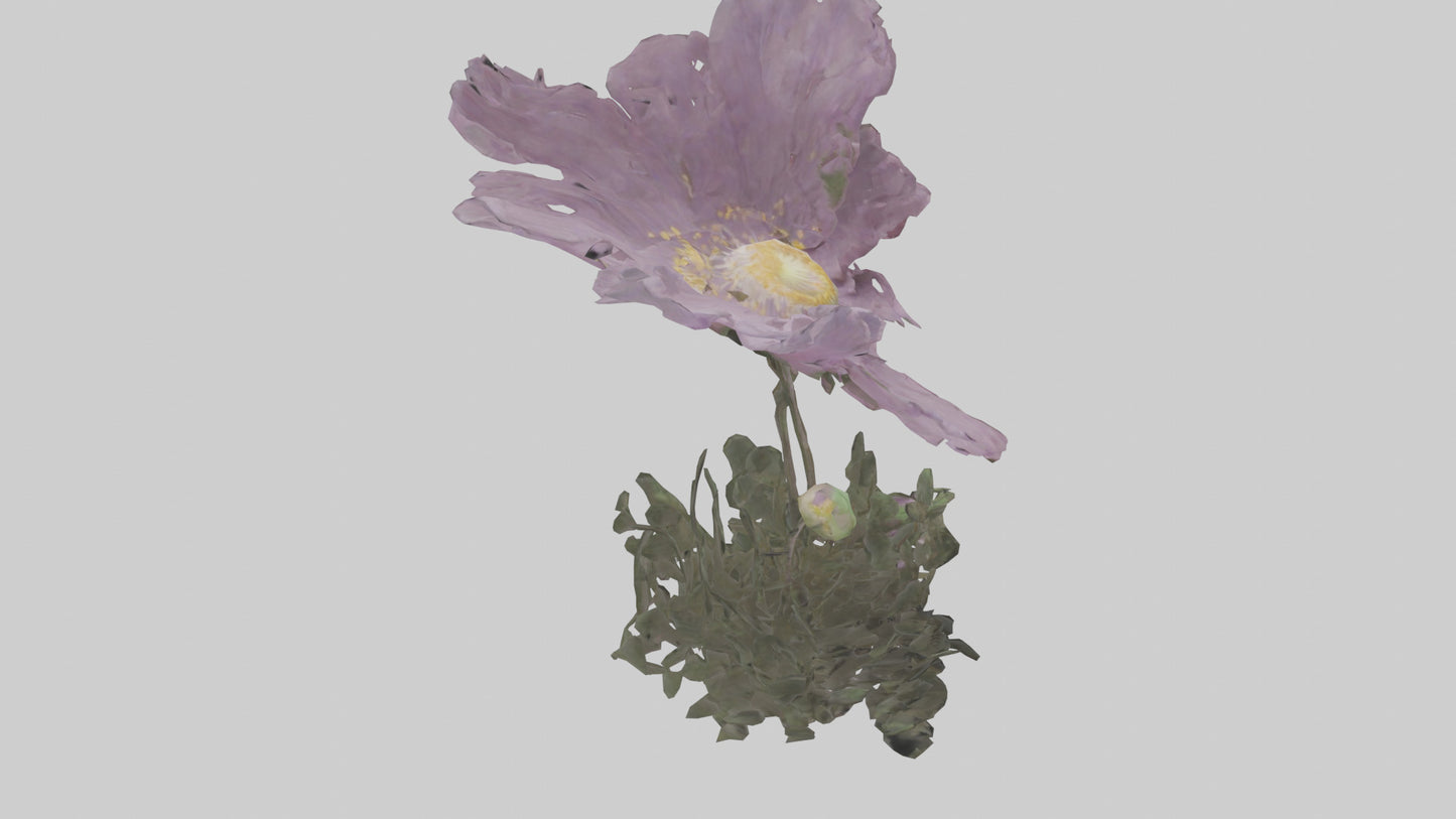 Janus God statue model VR / AR / low-poly