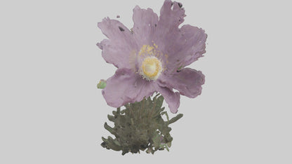 Janus God statue model VR / AR / low-poly