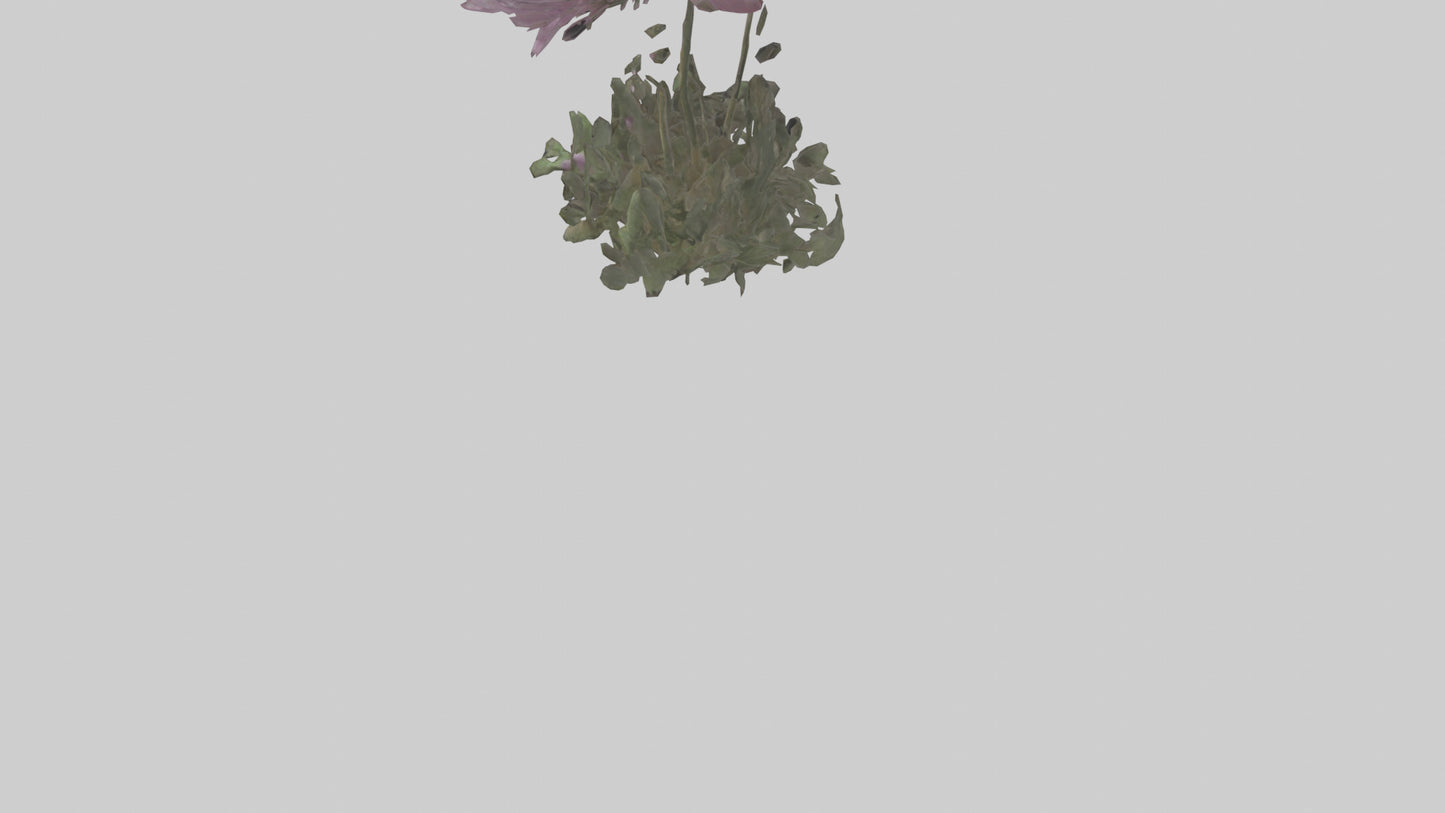 Janus God statue model VR / AR / low-poly