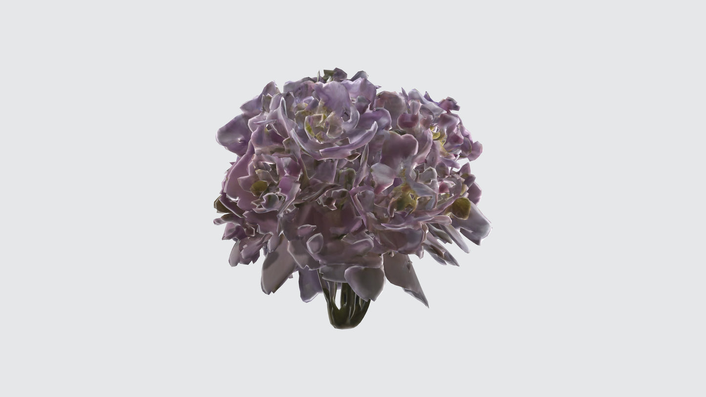 3D model Japanese Anemone Flowers VR / AR / low-poly