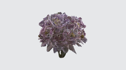 3D model Japanese Anemone Flowers VR / AR / low-poly