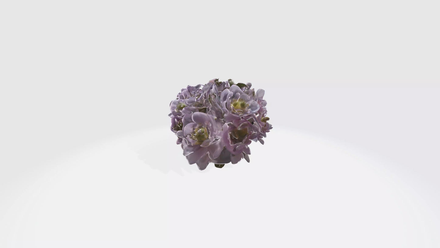 3D model Japanese Anemone Flowers VR / AR / low-poly