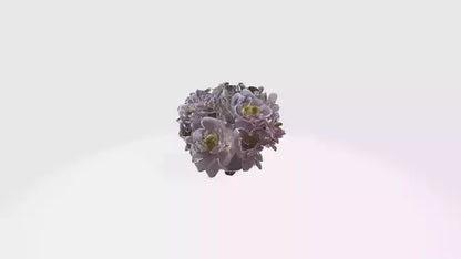 3D model Japanese Anemone Flowers VR / AR / low-poly