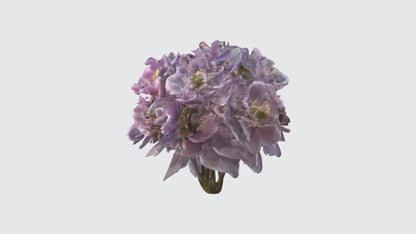 3D model Japanese Anemone Flowers VR / AR / low-poly