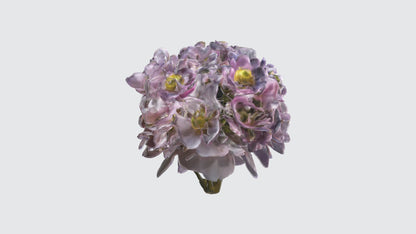 3D model Japanese Anemone Flowers VR / AR / low-poly