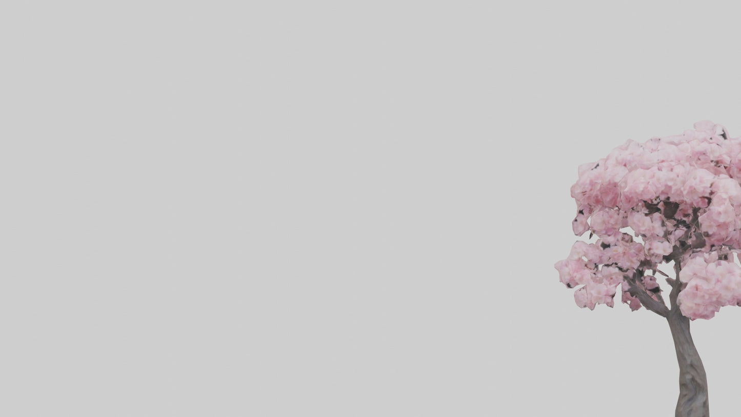 3D model Japanese Cherry Blossom tree model VR / AR / low-poly