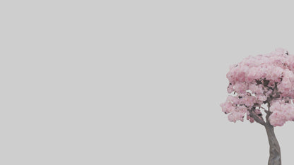 3D model Japanese Cherry Blossom tree model VR / AR / low-poly