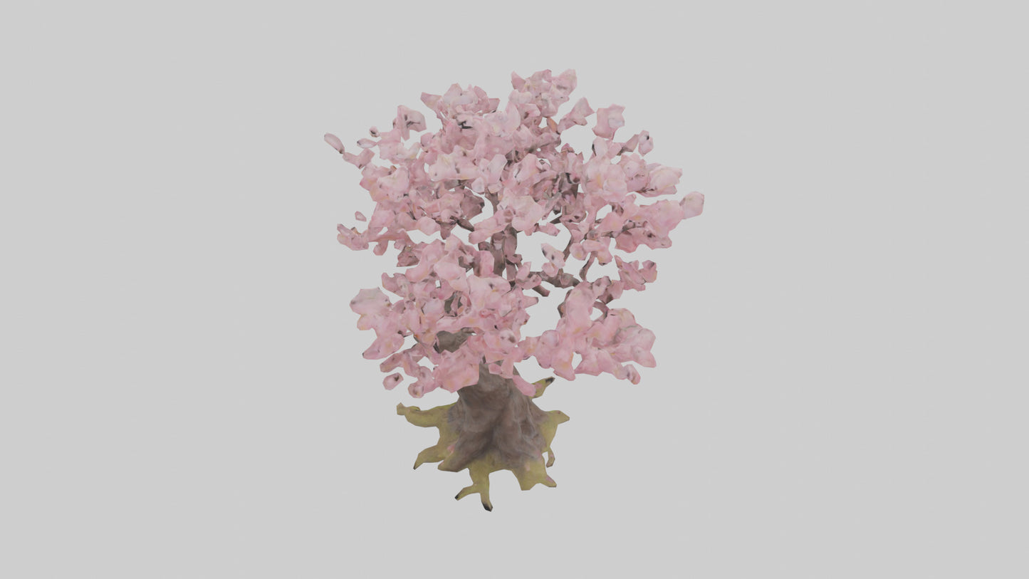3D model Japanese Cherry Blossom tree model VR / AR / low-poly
