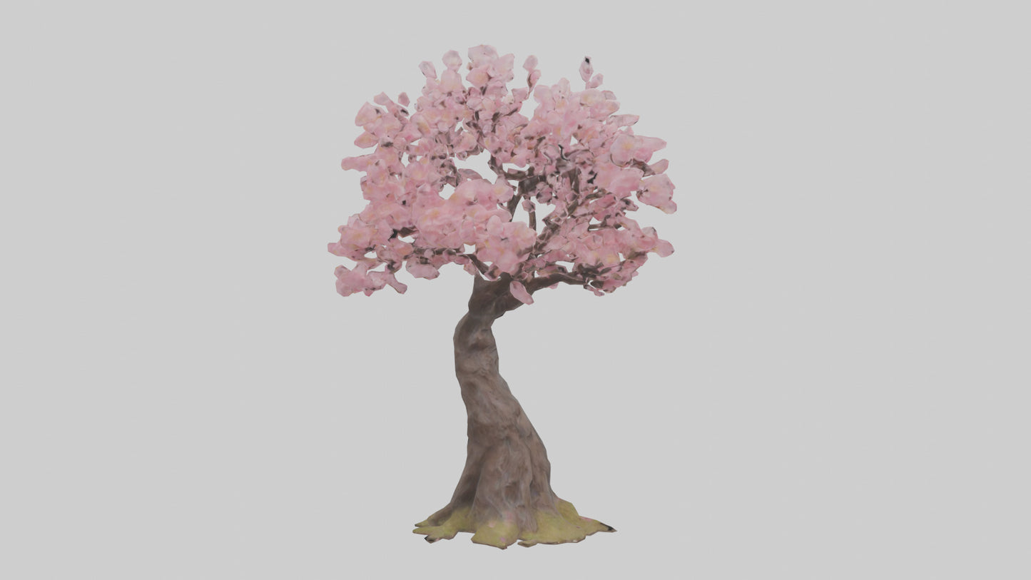 3D model Japanese Cherry Blossom tree model VR / AR / low-poly