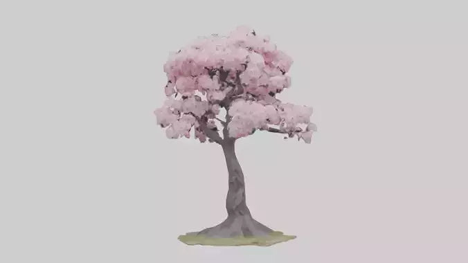 3D model Japanese Cherry Blossom tree model VR / AR / low-poly