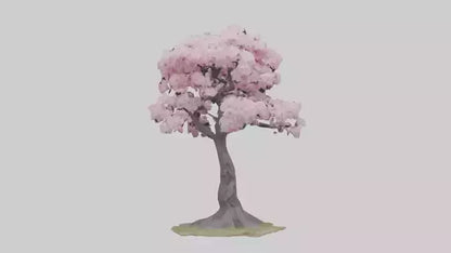3D model Japanese Cherry Blossom tree model VR / AR / low-poly