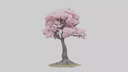 3D model Japanese Cherry Blossom tree model VR / AR / low-poly