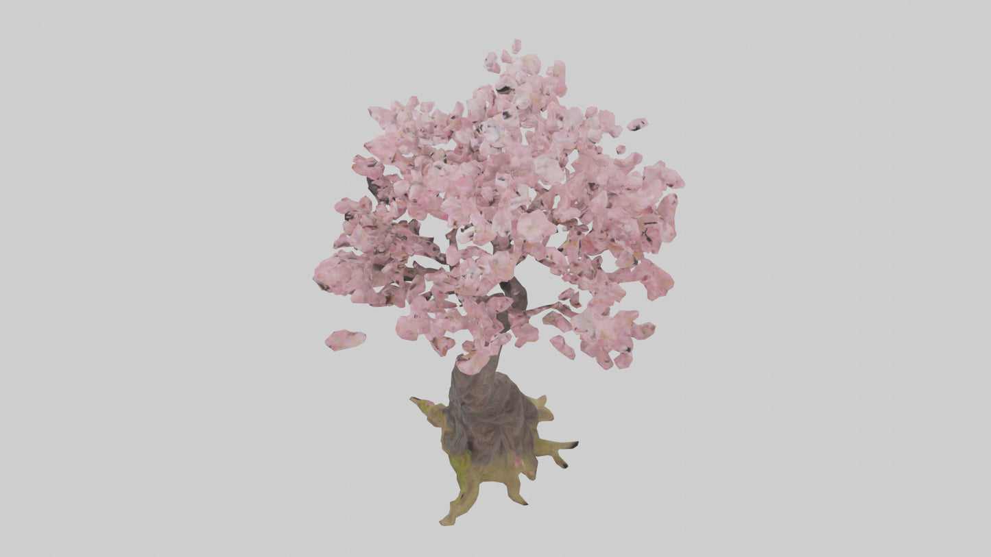3D model Japanese Cherry Blossom tree model VR / AR / low-poly
