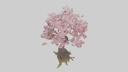 3D model Japanese Cherry Blossom tree model VR / AR / low-poly